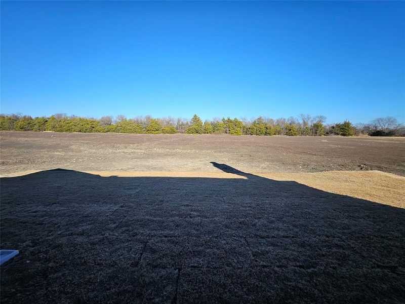 Site preparation for new homesites in Trails of Trenton, Trenton (Image 29).