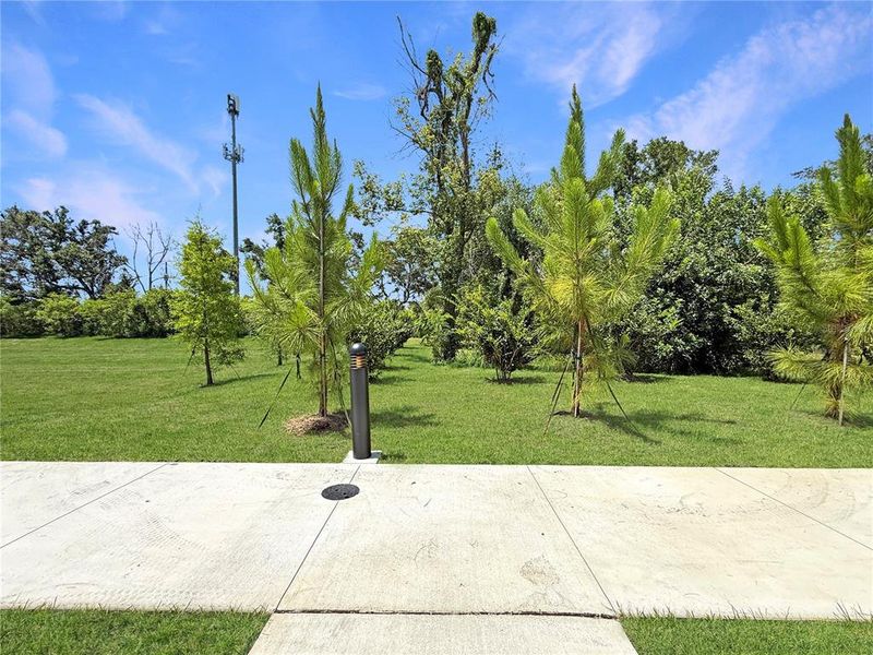 Natural landscape and outdoor views near  in Tampa (Image 32).