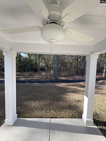 Exterior details and patio area of a home in Piney Woods Bluff, Columbia (Image 2).
