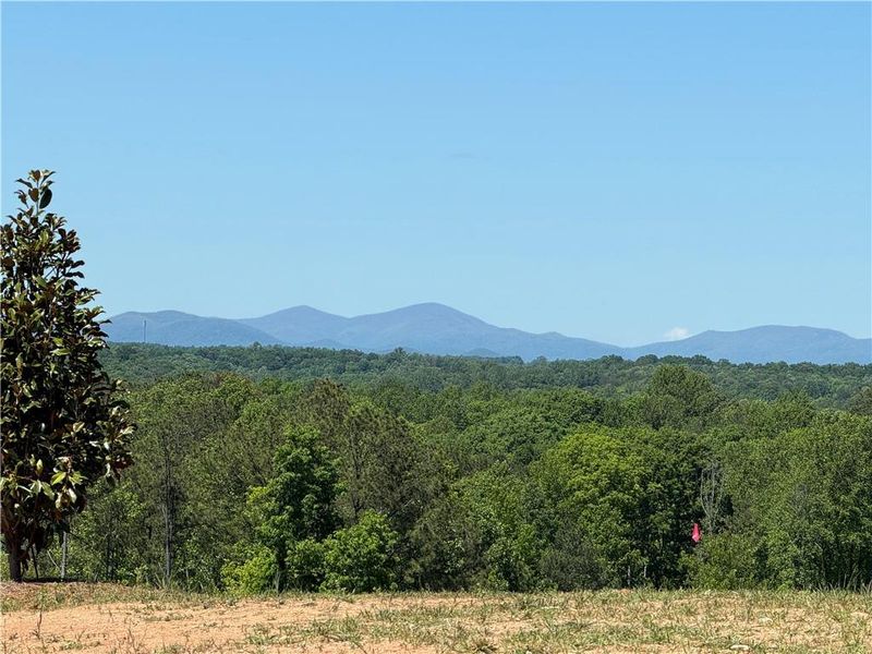 Natural landscape and outdoor views near  in Gainesville (Image 55).