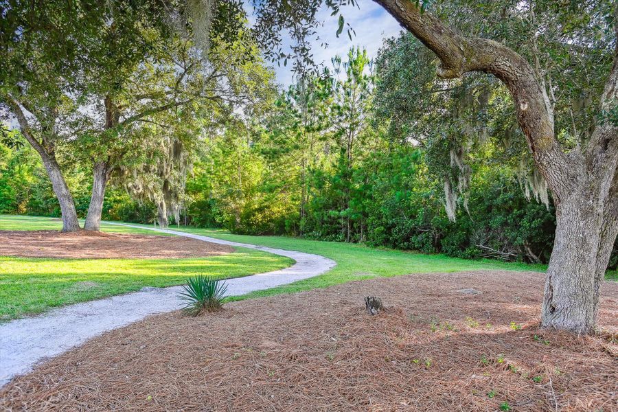 Image 61 of a home in Saint John's Lake: Arbor Collection.