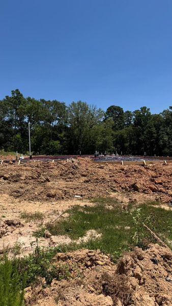 Site preparation for new homesites in Westridge Cove, Conroe (Image 29). Site preparation for new homesites in Westridge Cove, Conroe (Image 29).