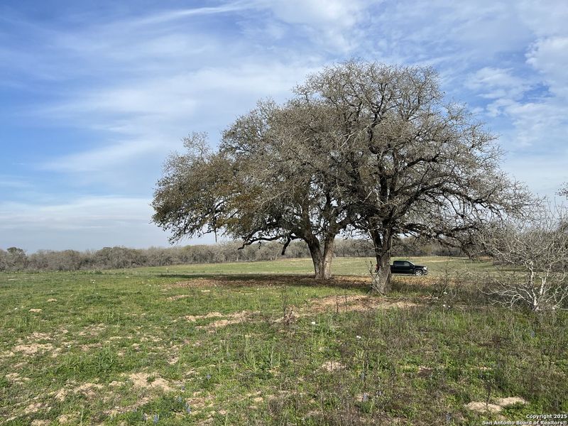 Image 12 of a home in .
