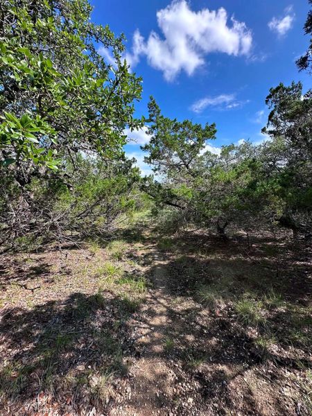 A tranquil path winds through a verdant, naturally landscaped parcel, offering a private retreat.