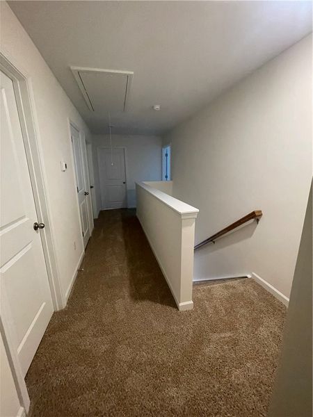 Spacious, unfurnished interior of a new home in Springwood Grove, Central (Image 40).