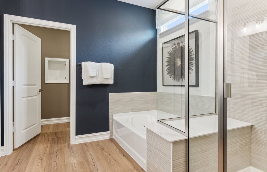 Large tub and shower in owner's bath