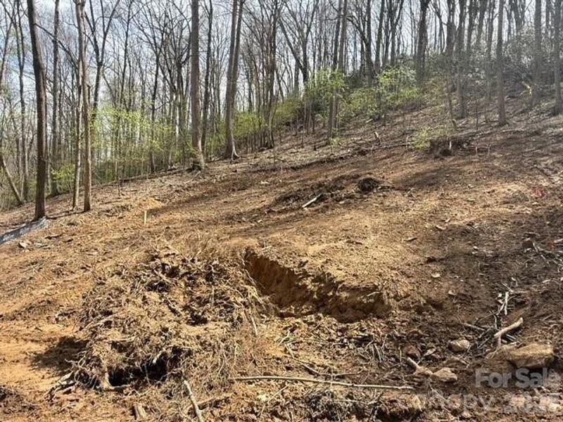 Site preparation for new homesites in , Mars Hill (Image 5).