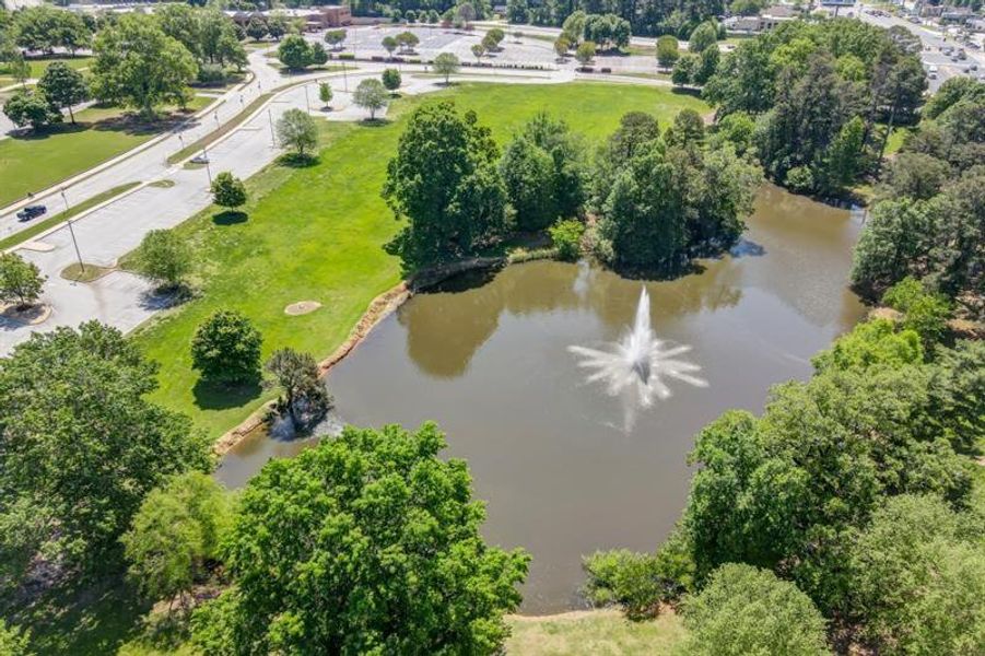 Natural landscape and outdoor views near Hemingway in Flowery Branch (Image 41).