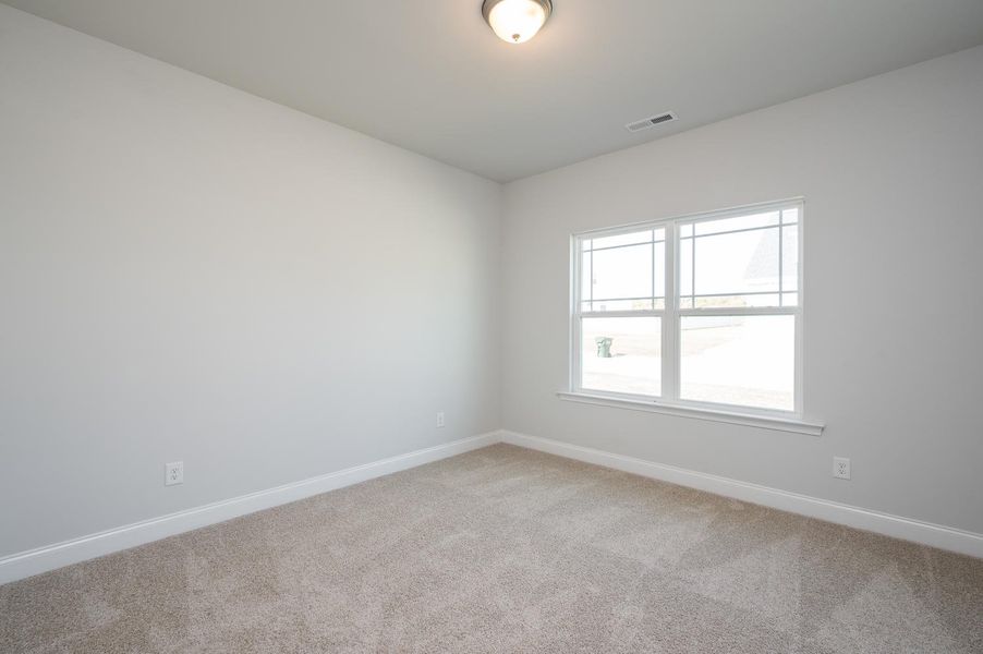 Spacious, unfurnished interior of a new home in Blossom Grove, Milton (Image 13).