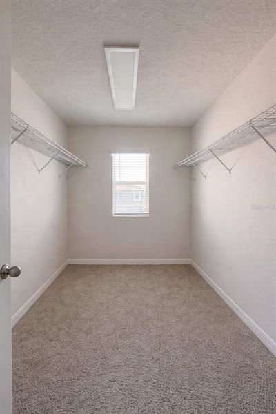 Spacious, unfurnished interior of a new home in Star Farms at Lakewood Ranch, Bradenton (Image 21). Spacious, unfurnished interior of a new home in Star Farms at Lakewood Ranch, Bradenton (Image 21).