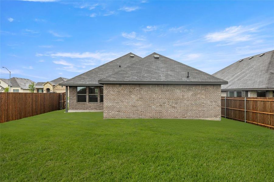 4509 Snakeweed-Back-1