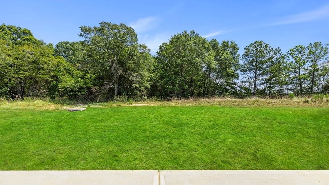 Natural landscape and outdoor views near Lakestone in Woodruff (Image 36).