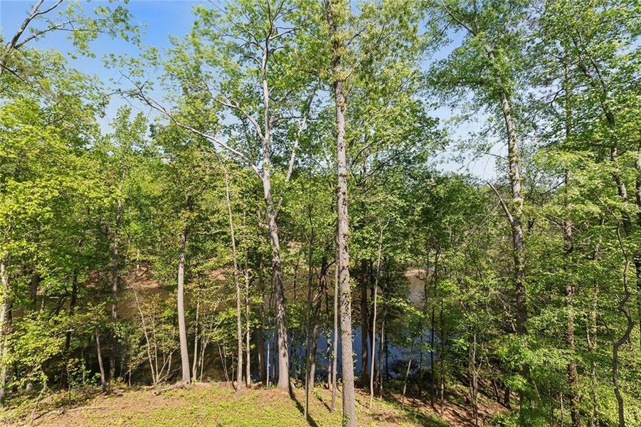 Natural landscape and outdoor views near  in Atlanta (Image 74).