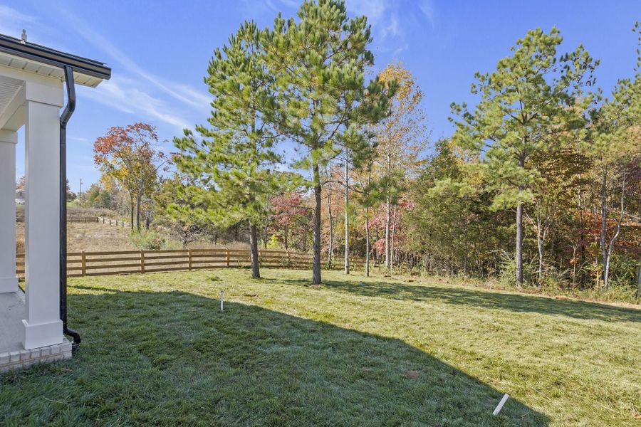 3,839sf New Home in Fairview, TN.  - Slide 48