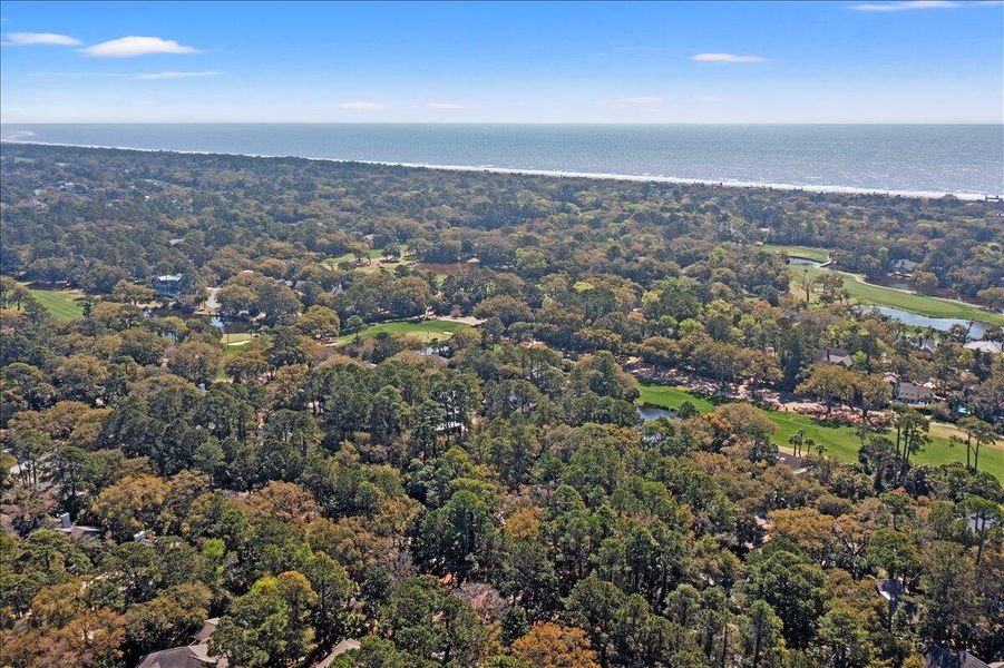 Natural landscape and outdoor views near  in Kiawah Island (Image 52).