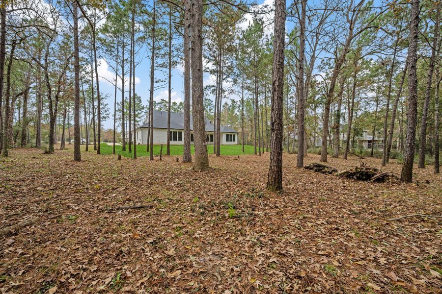 Natural landscape and outdoor views near  in Montgomery (Image 41).