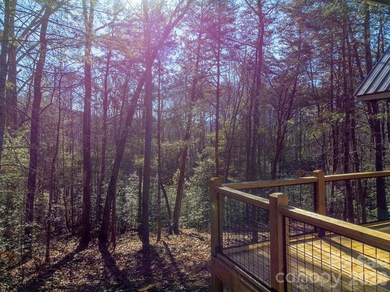 Natural landscape and outdoor views near  in Murphy (Image 31).
