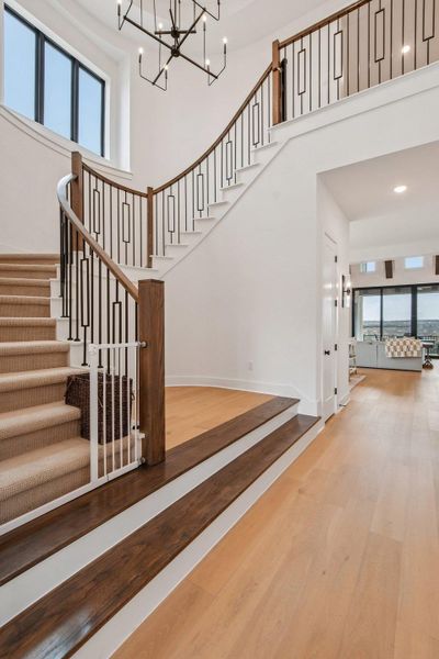 Grand entry featuring a curved staircase with carpeted treads, dark wood handrails, and black metal balusters Grand entry featuring a curved staircase with carpeted treads, dark wood handrails, and black metal balusters
