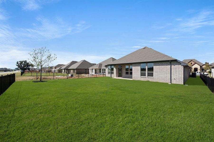 369 Paddle Boat- Back-1