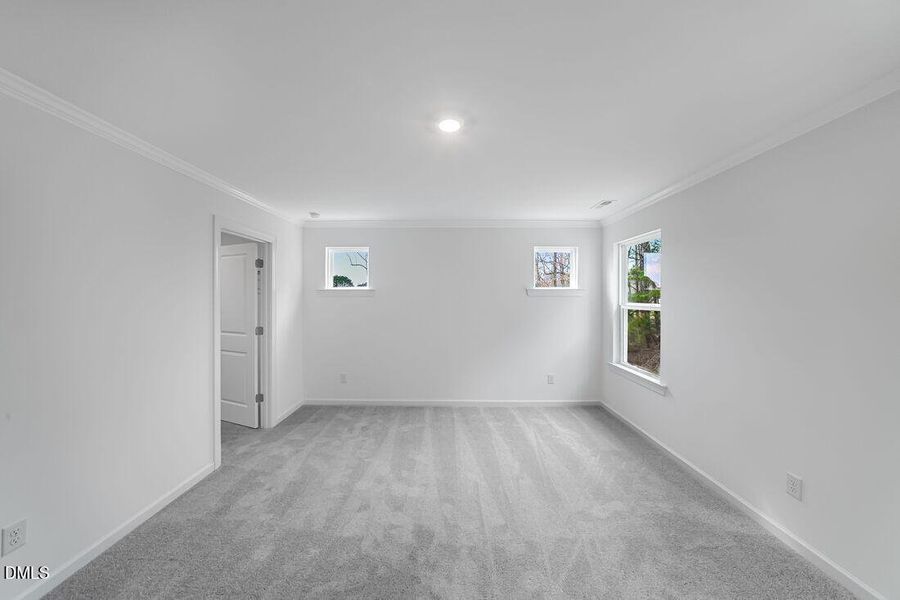 hj-nc-raleigh-eagle-trace-stella-lot-108