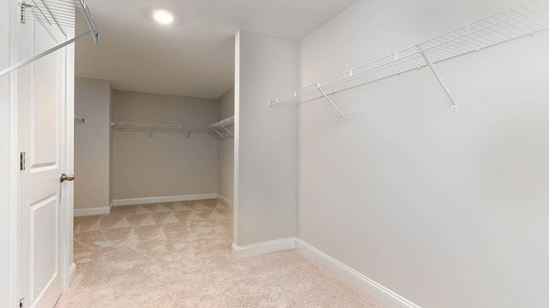 Spacious, unfurnished interior of a new home in Brunswick Plantation, Ash (Image 19).