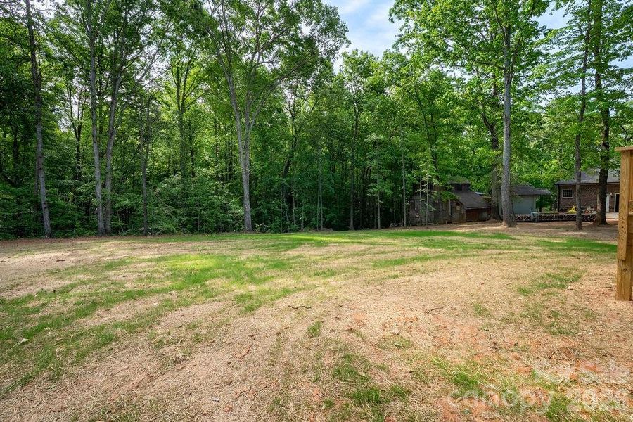 Natural landscape and outdoor views near  in Bessemer City (Image 25).