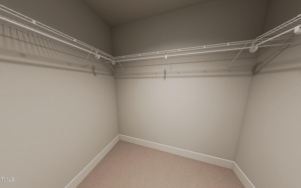 Rendering Representation