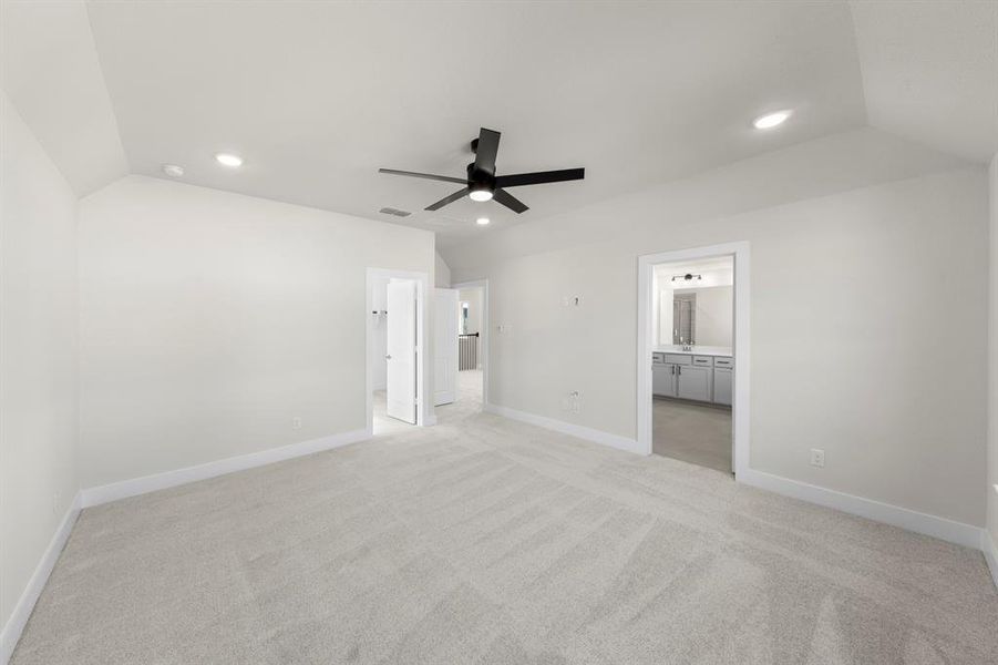 19. 1117 Amaryllis - Primary (2)