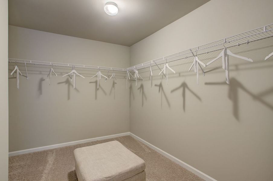 Expansive primary walk-in closet