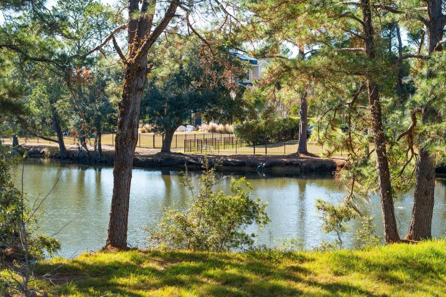 Natural landscape and outdoor views near  in Johns Island (Image 85).