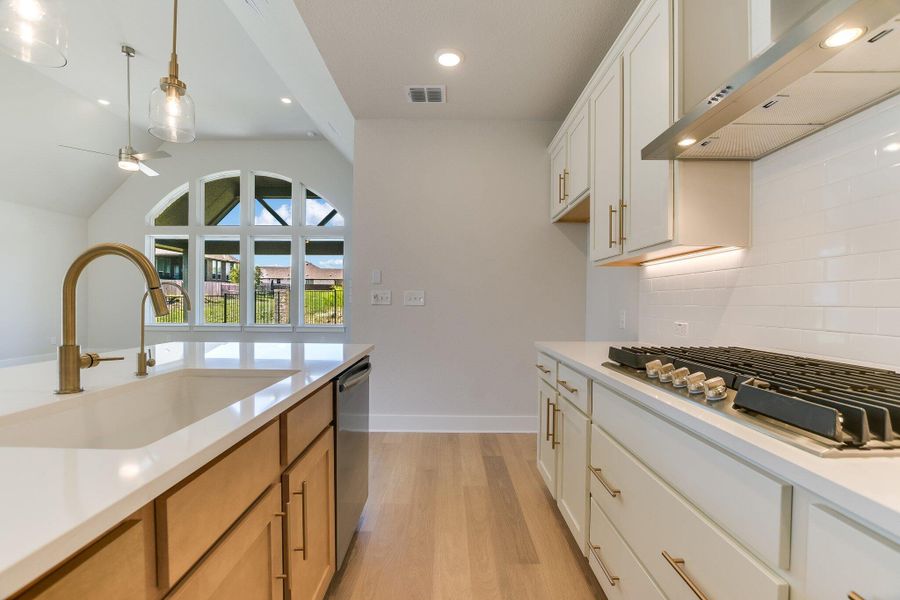 315 Fountain Grass Drive San Marcos, TX New Home Image 6