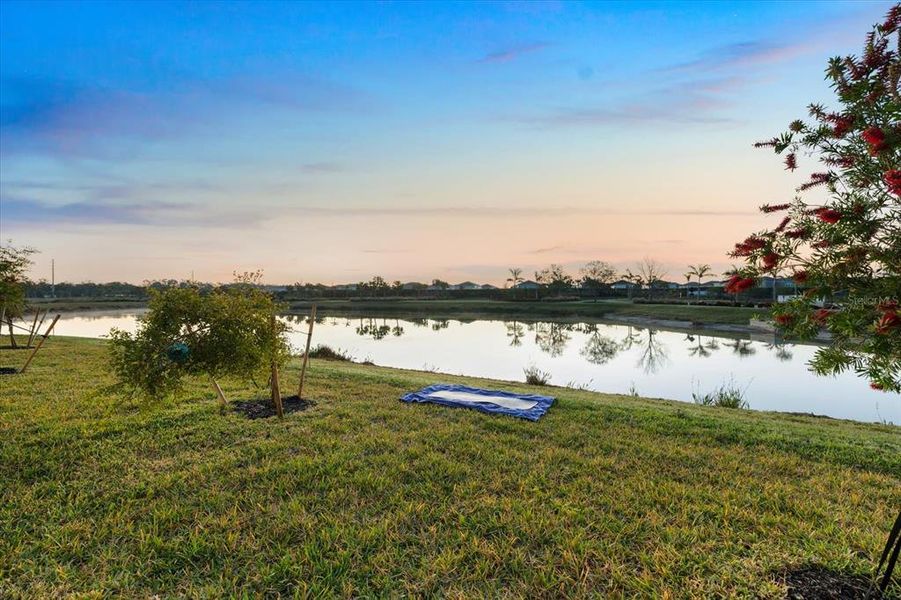 Natural landscape and outdoor views near in Sarasota (Image 55). Natural landscape and outdoor views near in Sarasota (Image 55).