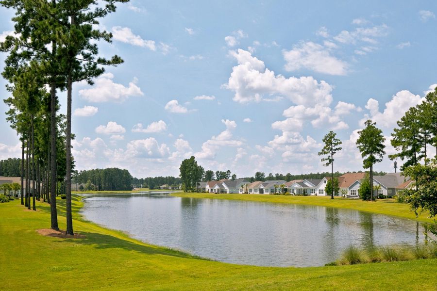 Natural landscape and outdoor views near in Summerville (Image 46). Natural landscape and outdoor views near in Summerville (Image 46).