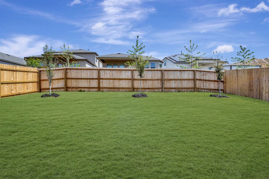 Backyard