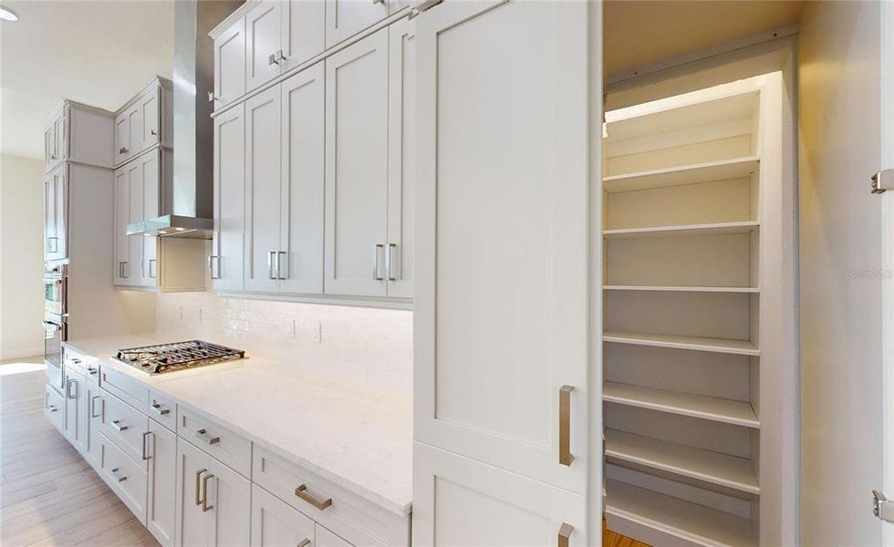 Spacious, unfurnished interior of a new home in Waterset, Apollo Beach (Image 25).