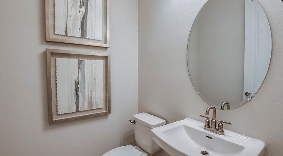 REPRESENTATIVE PHOTOS