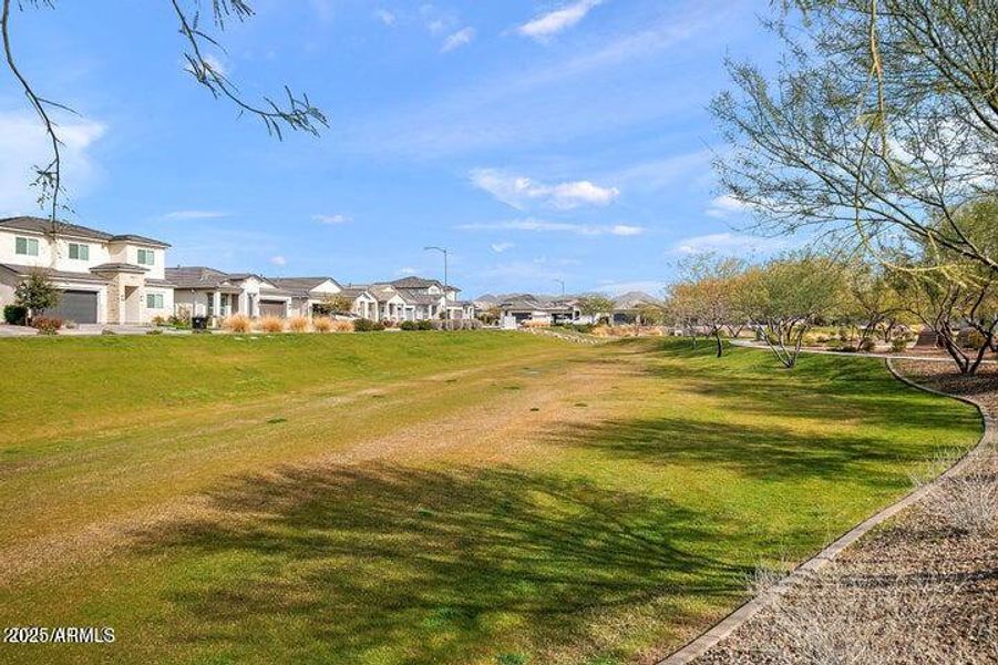 20250531201816913301000000-o