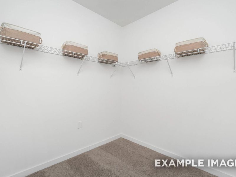 Spacious, unfurnished interior of a new home in Woods Crossing, Gallatin (Image 22).