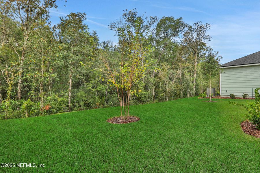 Natural landscape and outdoor views near TrailMark in St. Augustine (Image 41). Natural landscape and outdoor views near TrailMark in St. Augustine (Image 41).