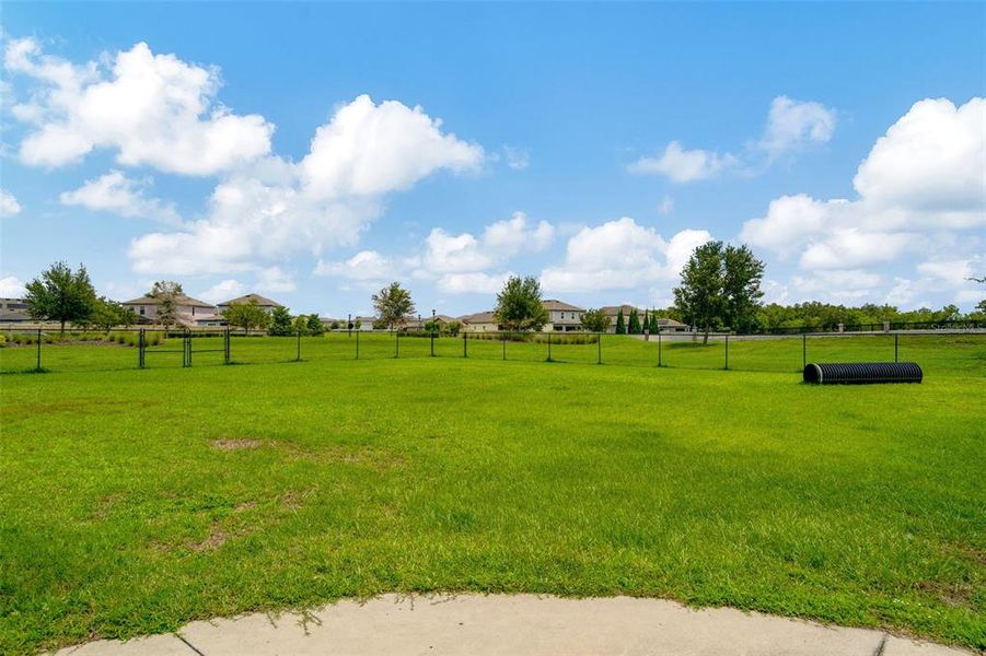 Natural landscape and outdoor views near Sereno in Wimauma (Image 40).