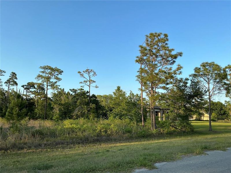 Natural landscape and outdoor views near in Orlando (Image 3). Natural landscape and outdoor views near in Orlando (Image 3).