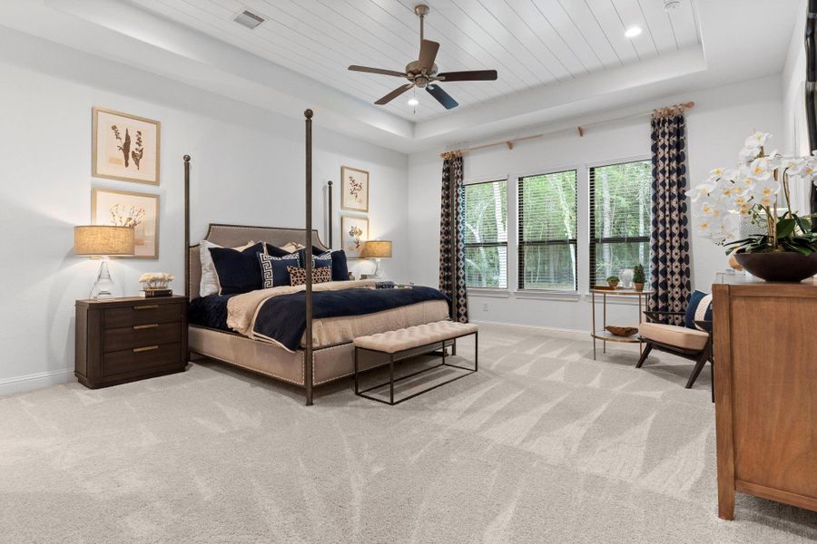 Staged Representation