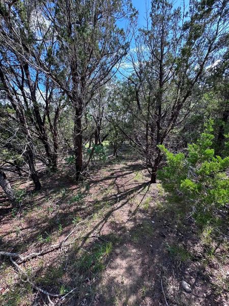 A tranquil wooded lot offers abundant natural beauty and privacy.