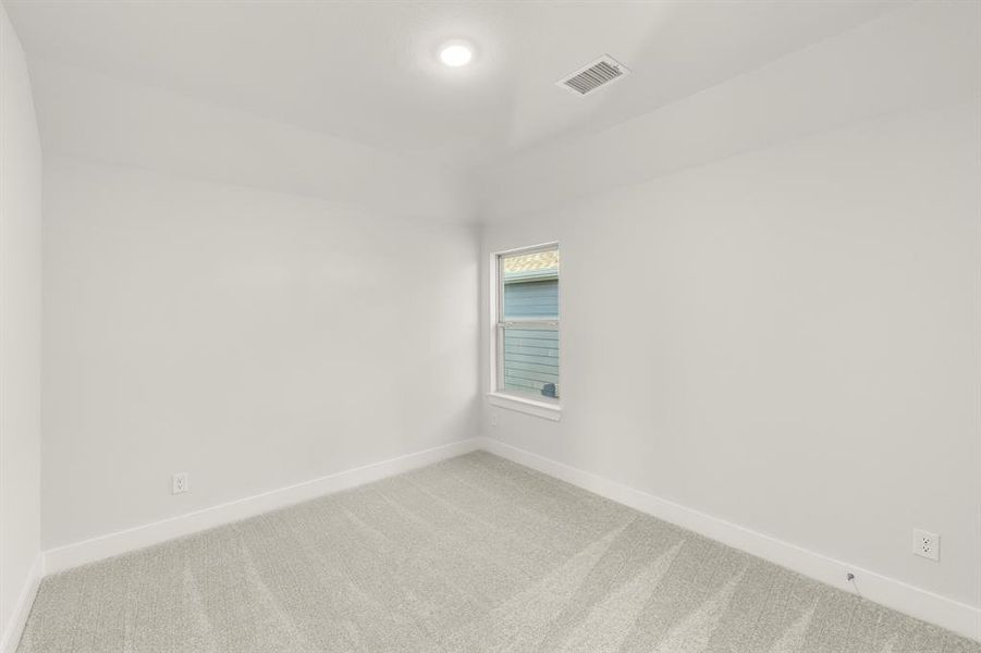 22. 3124 Lenten Rose - Bed 3