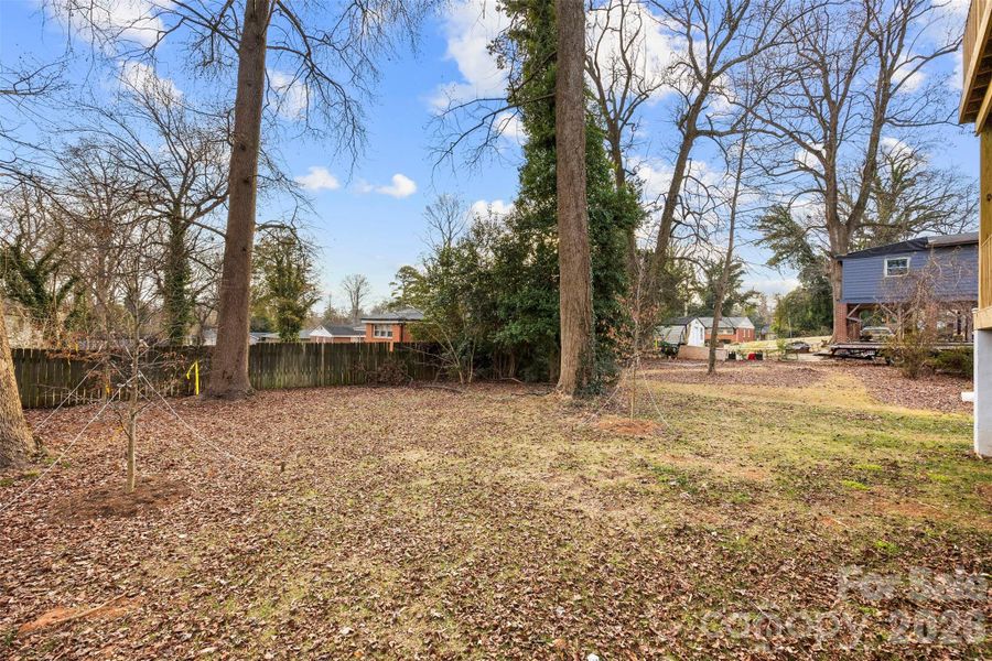 Natural landscape and outdoor views near  in Charlotte (Image 41).