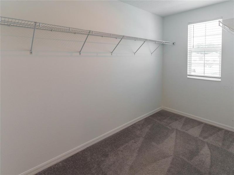 Spacious, unfurnished interior of a new home in The Isle of Avalon, Spring Hill (Image 23).