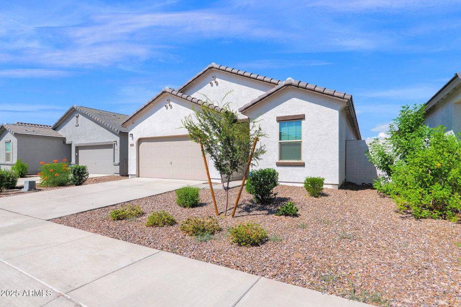 8-web-or-mls-P1304278 8-web-or-mls-P1304278