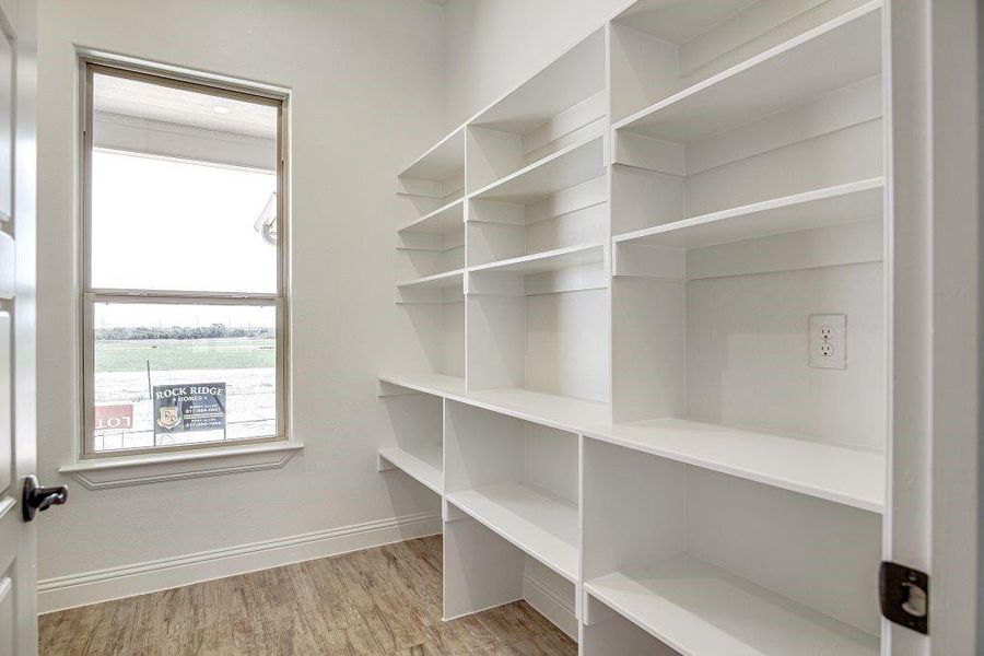 Spacious closet featuring light hardwood / wood-style floors