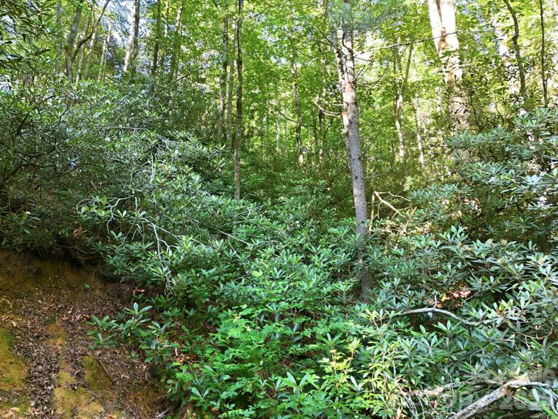 Natural landscape and outdoor views near in Hendersonville (Image 24). Natural landscape and outdoor views near in Hendersonville (Image 24).
