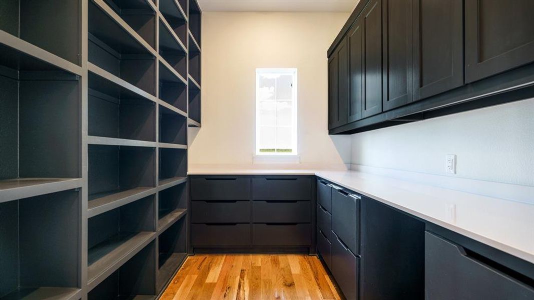 Spacious closet featuring light wood-type flooring